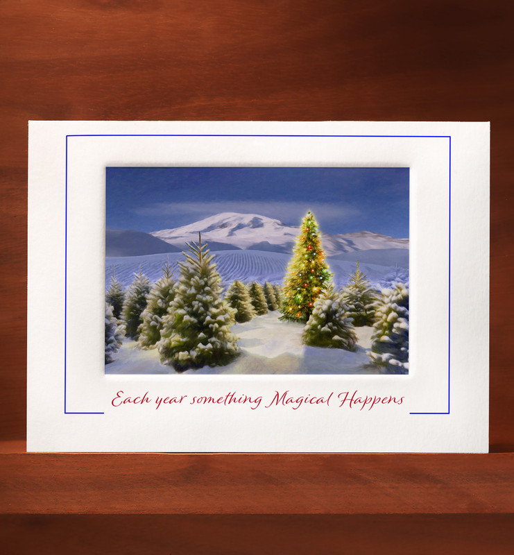 HolidayTreeFarm SC19