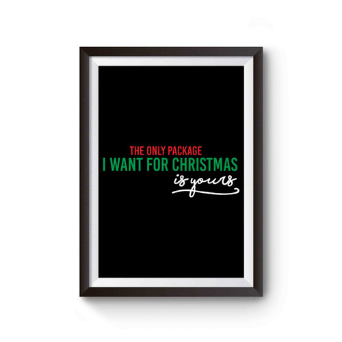 The Only Package I Want For Christmas Is Yours Love Christmas Holiday Poster