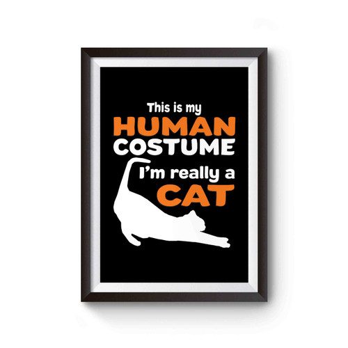 This Is My Human Costume I'm Really A Cat Poster