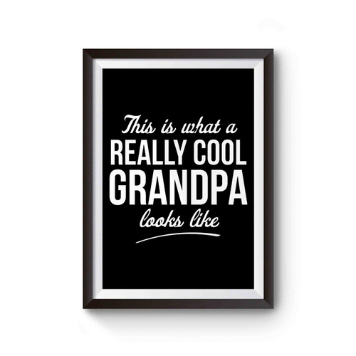 This Is What A Really Cool Grandpa Poster