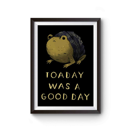 Toaday Was A Good Day Toad Poster
