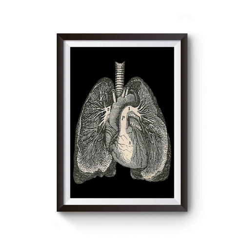 Unique Lungs Anatomy Inspired Poster