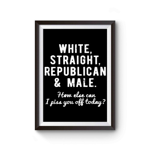 White Straight Republican Male Piss You Off Today Poster
