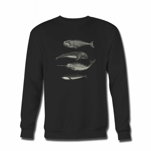 Your Killer Whale Graphic Crewneck Sweatshirt just got an update. This super comfortable and lighter weight crewneck will become your favorite go-to sweatshirt. The cozy spandex cuffs and waistband make this pill-resistant sweatshirt a fan favorite.And your group will look and feel their best in this premium ringspun cotton crew.