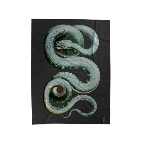 Beautiful Coiled Snake Velveteen Blanket
