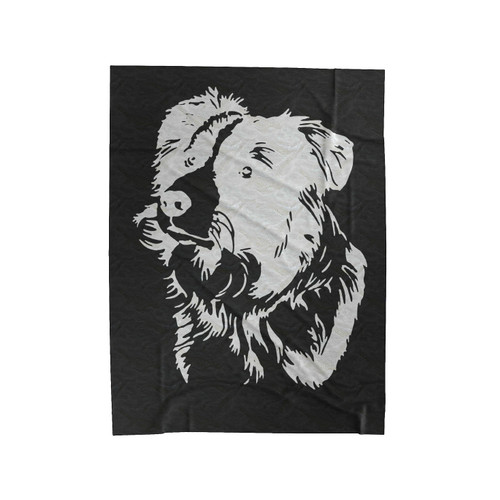 Border Collie Face Velveteen Blanket