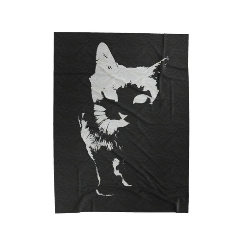 Cat Frontin' Velveteen Blanket