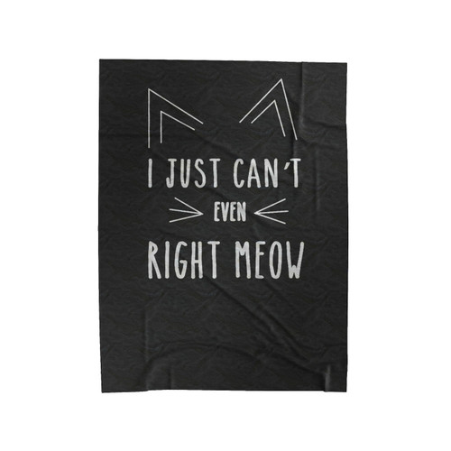 Cat Loves I Just Can't Even Right Meow Velveteen Blanket
