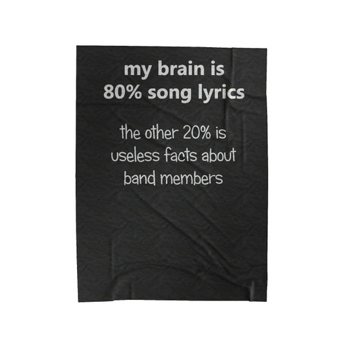 My Brain 80% Song Lyrics The Other 20% Is Useless Facts About Band Member Velveteen Blanket