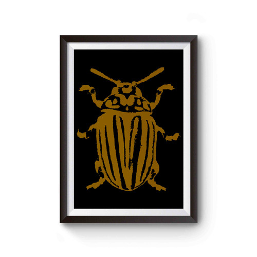 Beetle Insect Bug Poster