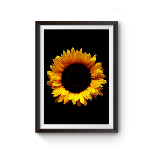 Big Sunflower Helianthus Big Flower Retro Poster