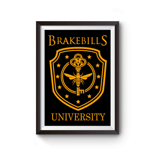 Brakebills University Cover Inspired Poster