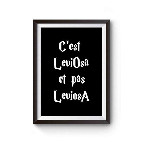 C'est Leviosa Et Pas Leviosa Poster