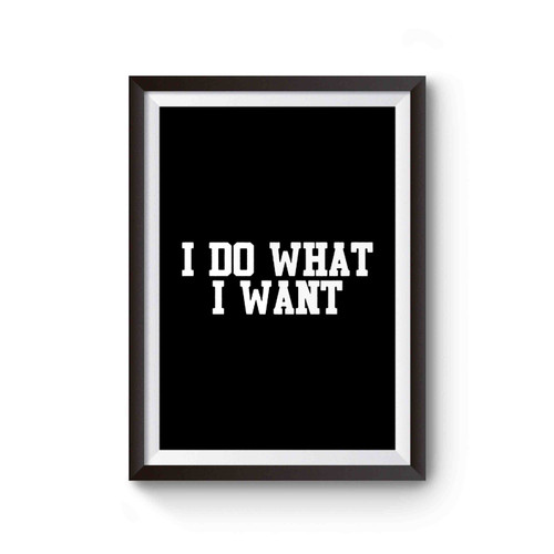 I Do What I Want Funny Hilarious Cool Attitude Poster