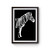 Zebra Poster