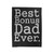Best Bonus Dad Ever Velveteen Blanket