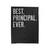 Best Principal Ever Velveteen Blanket