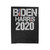 Biden Harris 2020 For America Velveteen Blanket