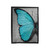 Blue Butterfly Velveteen Blanket
