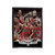 Chicago Bulls Dream Team All Time Velveteen Blanket