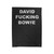 David Fucking Bowie Velveteen Blanket