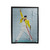 Freddie Mercury Queen Singer Velveteen Blanket