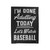 I'm Done Adulting Today Let's Watch Baseball Funny Baseball Velveteen Blanket