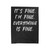 It's Fine I'm Fine Everything Is Fine Velveteen Blanket