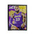 Lebron James Lakers King Velveteen Blanket