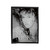 Stevie Nicks Dreams Velveteen Blanket
