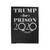 Trump For Prison 2020 Velveteen Blanket