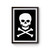 Skull And Crossbones Logo Pirate Poster