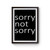 Sorry Not Sorry Celebrity Chelsea Handler Comedian Poster