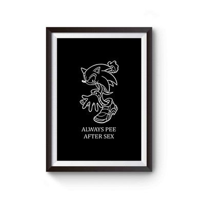 New Sonic Always Pee After Sex Poster