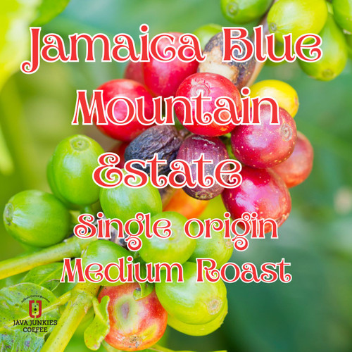 Java Junkies Jamaica Blue Mountain Estate Coffee. Red and Yellow coffee cherries still on the tree with a tropical background.