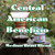 Java Junkies Organic Central American Beneficio Coffee. Pour over coffee maker and two coffee mugs sitting on a tree stump in the forest.