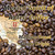 Java Junkies Mexico 'Spirit of Aztec' Coffee. Roasted coffee beans scattered on an antique map of the world with a space cleared for Mexico.