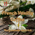 French Vanilla Coffee