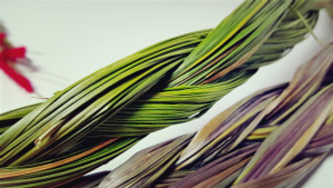 Hierochloe Odorata Natural Sweetgrass Braids (Set of 6) | Hand-Braided Aromatic Smudge| Sustainable Ritual Smoke for Cleansing & Meditation