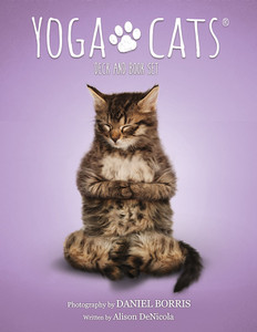 Yoga Cats Oracle Deck and Book Set Yoga Cats Oracle Deck and Book Set