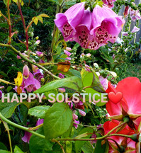Happy Summer Solstice!!!