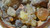 Beloved Frankincense Resin Set of 4 - Omani Hojari, Nigerian,, Sudanese & Indian - Raw Natural Tears for Ritual, Healing & Meditation