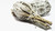 White sage mini-smudge White sage mini-smudge