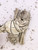 Small 4" California White Sage – Ethically Sourced Mini Smudge Stick