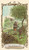 Fantastical Creatures Tarot Deck Fantastical Creatures Tarot Deck