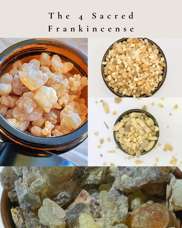 Sacred Frankincense Resin Set of 4 - Omani Hojari, Nigerian, Ethiopian Golden & Arabian - Raw Natural Tears for Ritual, Healing & Meditation