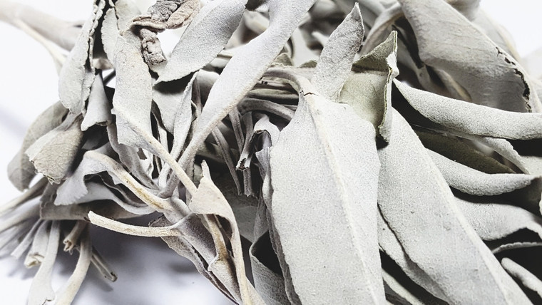 California White Sage (Salvia Apiana) | 2 Ounces Loose Leaf Sage | Sustainable & Natural Ritual Smoke| Cleansing and Meditation Herbs