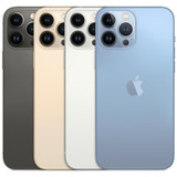 iPhone 13 Pro Max Cases