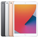 iPad 10.2" (2020) Cases