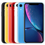 iPhone Xr Cases